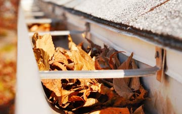 Dunwood gutter cleaning companies