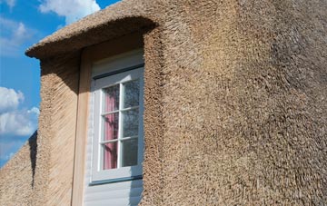 Dunwood thatch roof disadvantages
