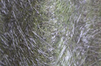 Dunwood fibreglass roof work